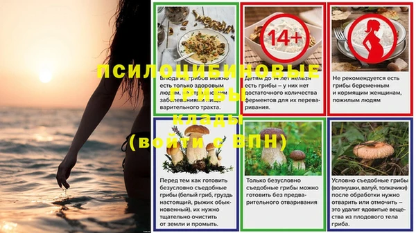 Альфа ПВП Алексин