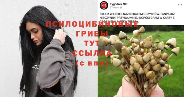 MDMA Premium VHQ Абдулино