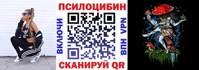 Галлюциногенные грибы Psilocybine cubensis Щёкино